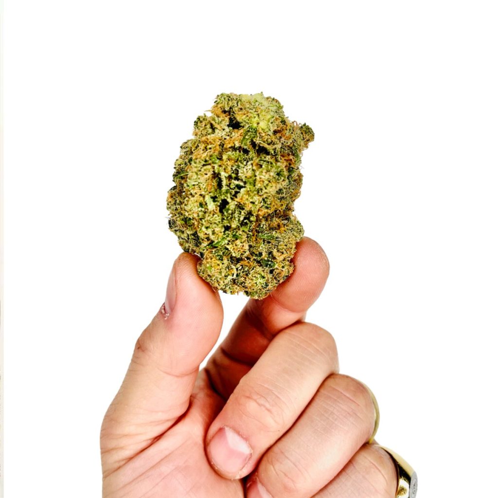 Close-up of a hand holding a dense green cannabis flower between the thumb and index finger against a white background.
